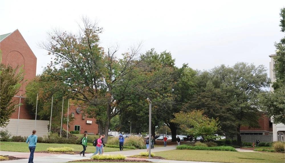 佐治亚理工学院