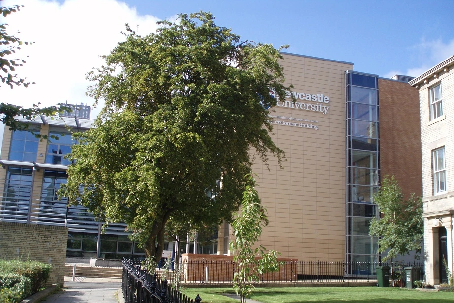 纽卡斯尔大学
