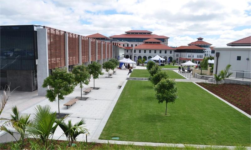 梅西大学