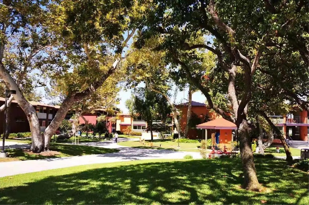 加州大学欧文分校